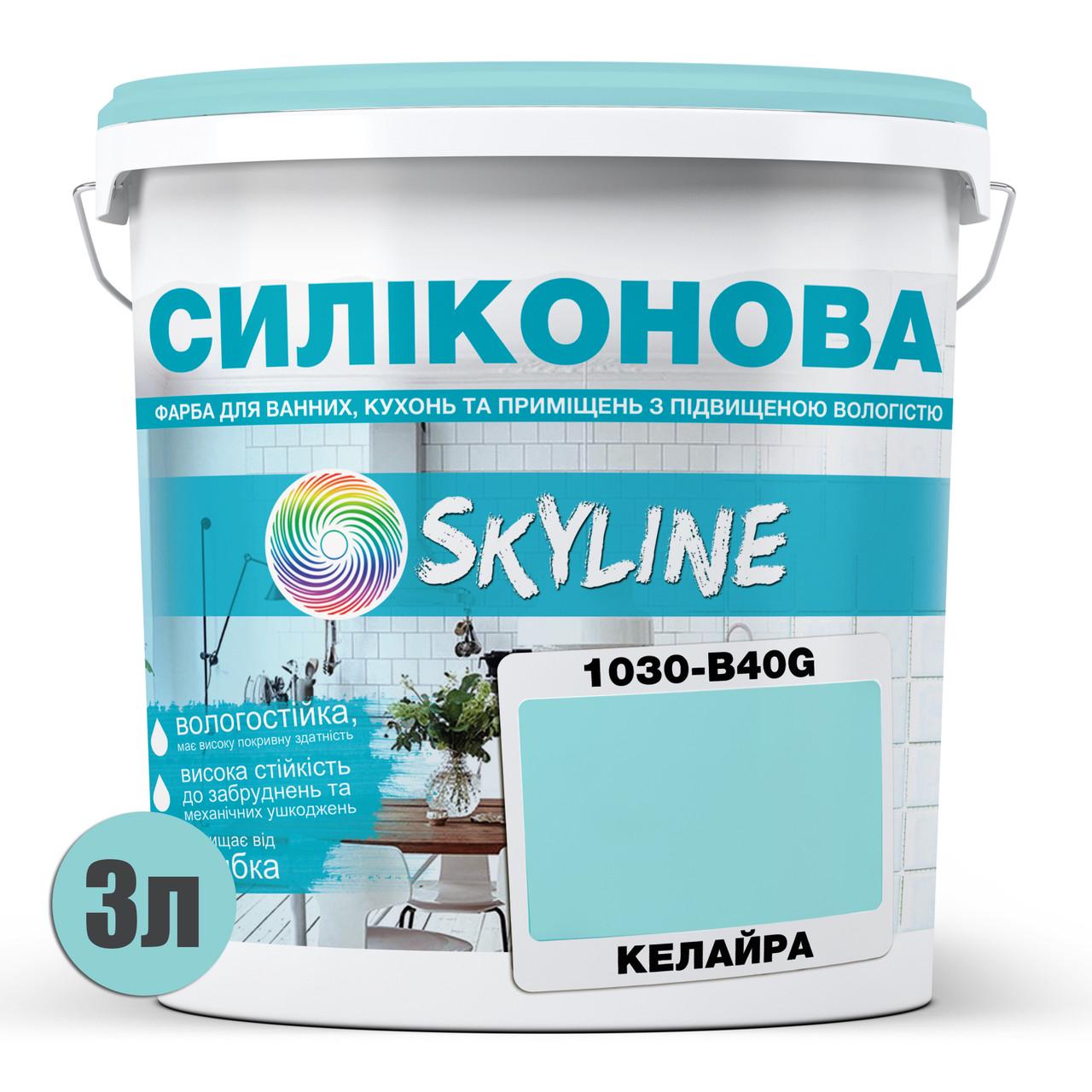 Фарба для вологих приміщень Skyline 1030-B40G силіконова 3 л Келайра (2589082058) - фото 2 Фарба для вологих приміщень Skyline 1030-B40G силіконова 3 л Келайра (2589082058) - фото 2