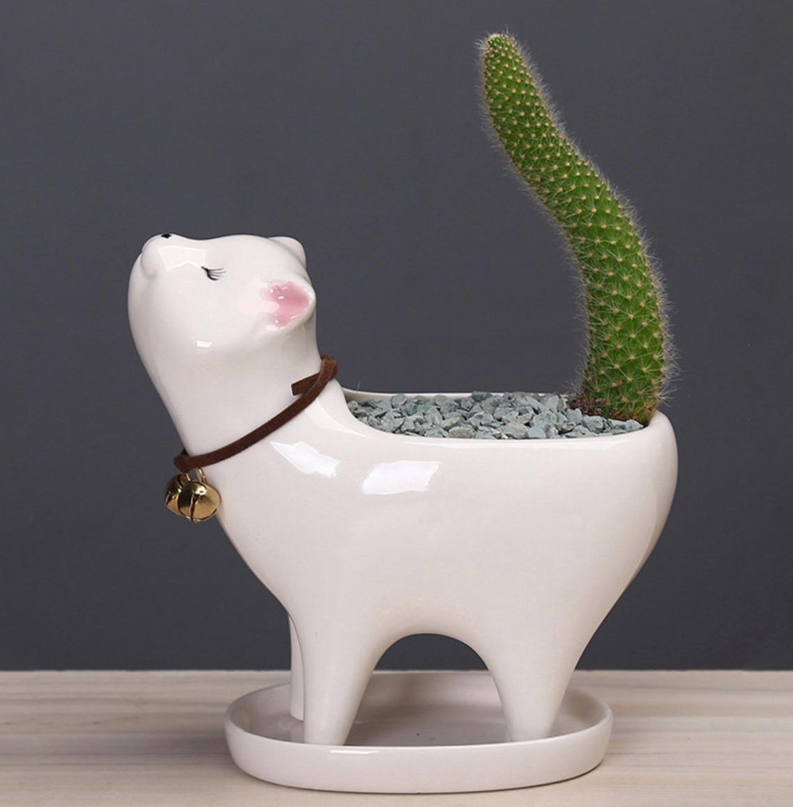 Кашпо Ласкава киця керамічне з піддоном 13,2x12,7 см