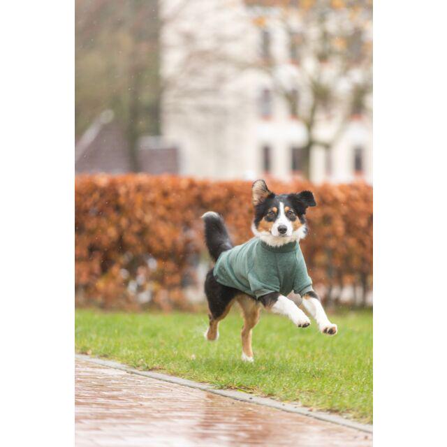 Світшот Trixie CityStyle Amsterdam для собак S 33 см Темно-зелений - фото 5