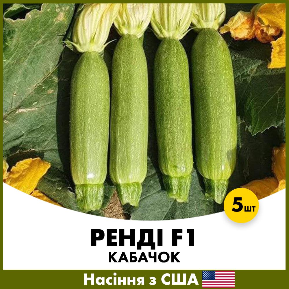 Семена кабачку Innova Seeds Рэнди F1 5 шт. (KBR-5)