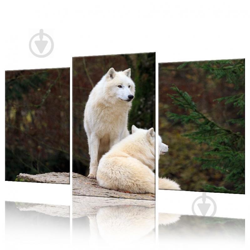 Модульная картина Волки ADJ0025 размер 120 х 180 см
