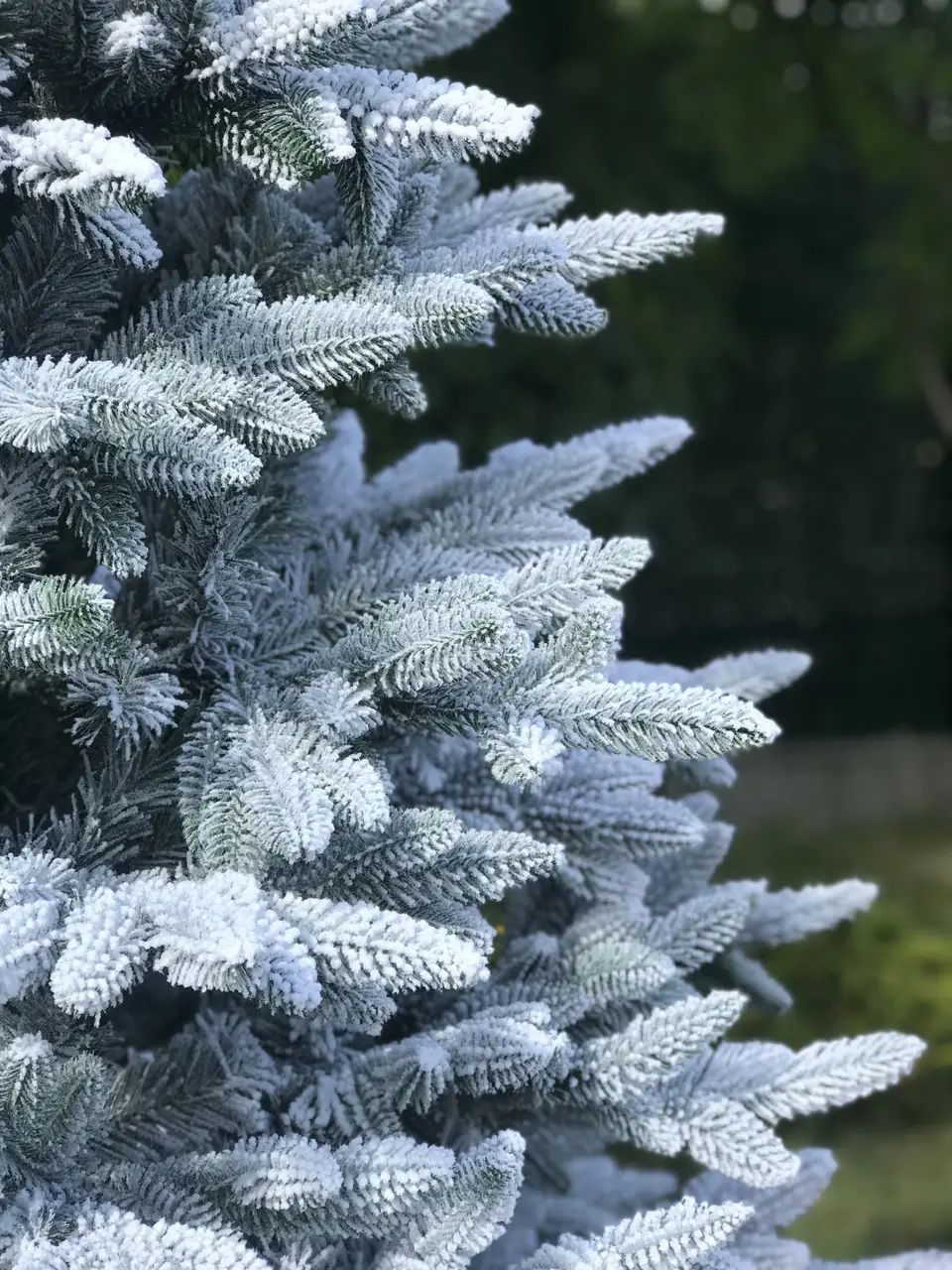 Елка искусственная HVOYA литая Classic Mix заснеженная 220 см (210/220/GS) - фото 7 Елка искусственная HVOYA литая Classic Mix заснеженная 220 см (210/220/GS) - фото 7