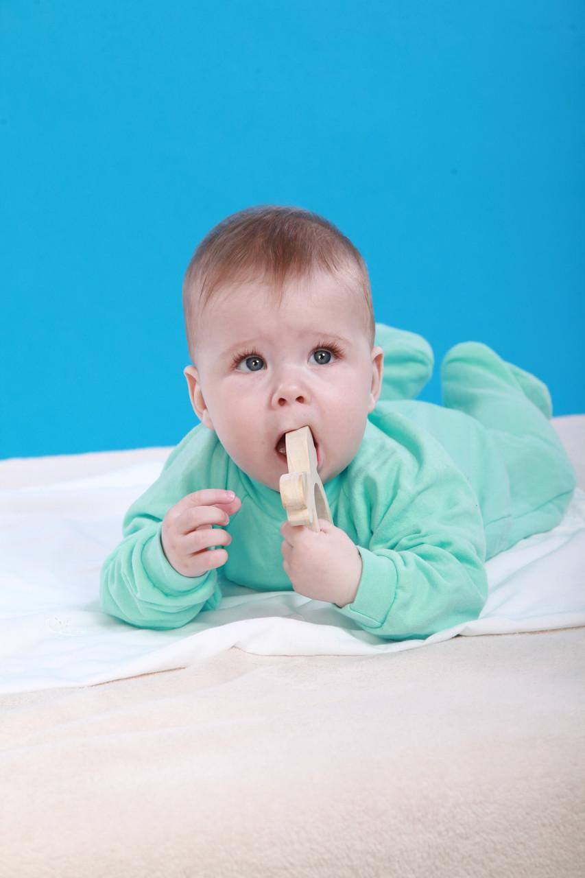 Грызунок HEGA Подарок (166) - фото 2 Грызунок HEGA Подарок (166) - фото 2