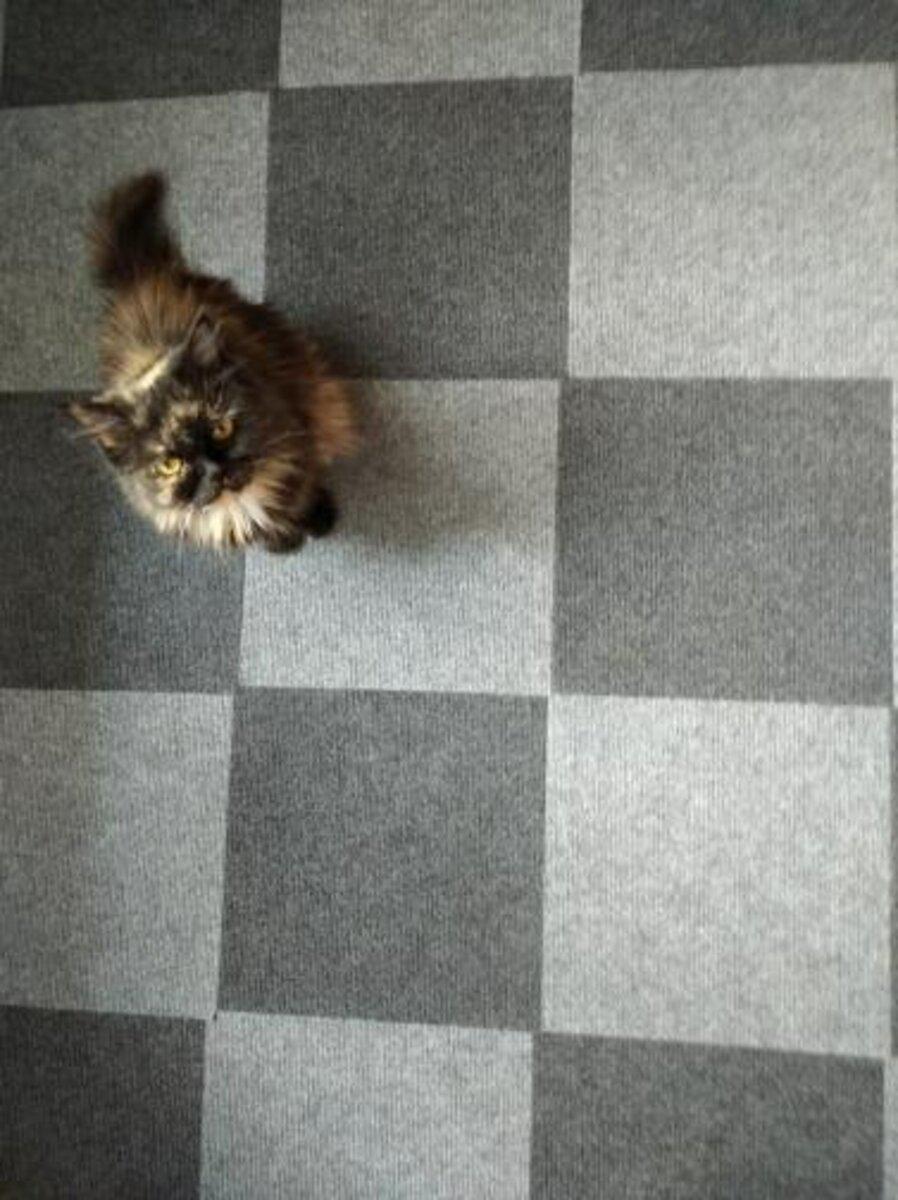 Плитка самоклеящаяся под ковролин 300х300х4,5 мм Темно-серый (SW-00001420)