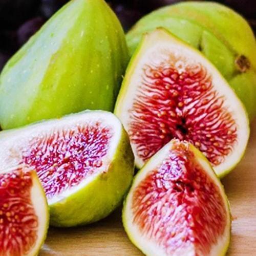 Сажанець Інжир Закавказький зелений (25966)