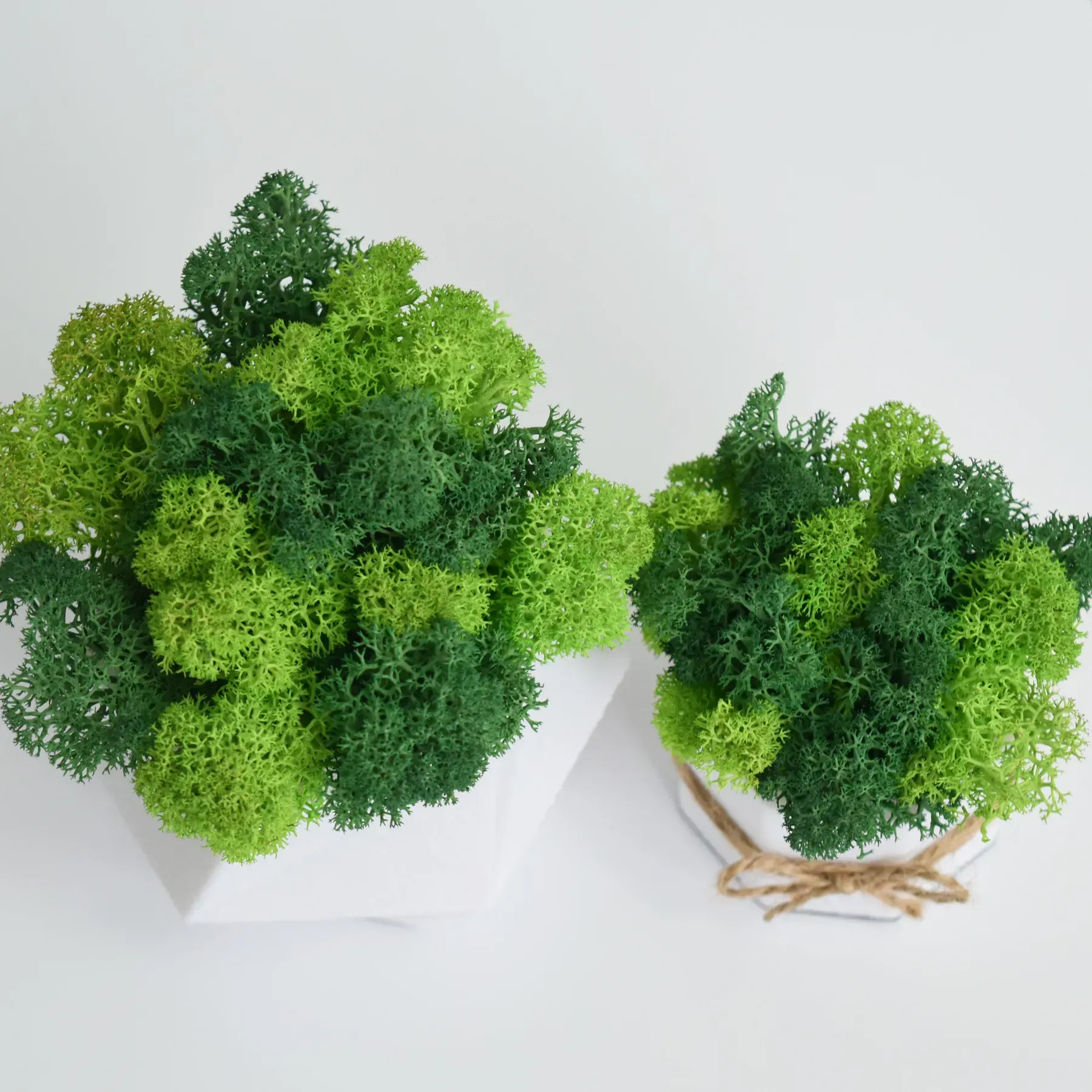 Комплект кашпо со стабилизированным мхом Ягель 2 шт. Белый/Зеленый/Салатовый (NA-B-3) - фото 4