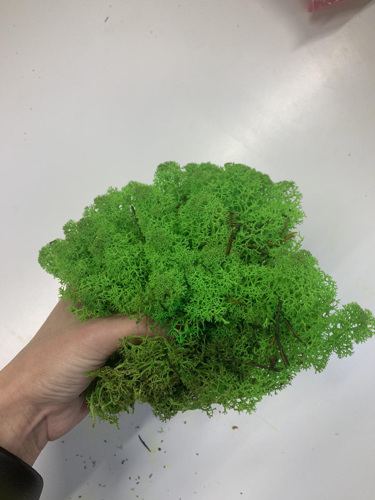 Мох стабілізований норвезький ягель 2 кг Зелений (27320644) - фото 4 Мох стабілізований норвезький ягель 2 кг Зелений (27320644) - фото 4