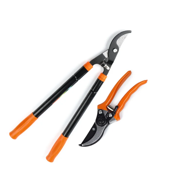 Набір садових інструментів Polax сучкоріз телескопічний 560-730 мм і секатор з ресорою (770-25)