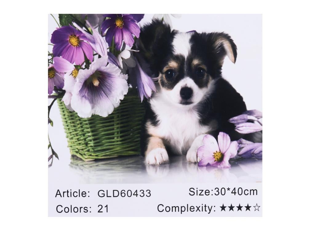 Алмазна мозаїка за номерами Josef Otten Цуценя 60433 30x40 см (MTT-178059) - фото 2 Алмазна мозаїка за номерами Josef Otten Цуценя 60433 30x40 см (MTT-178059) - фото 2