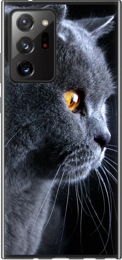 Чохол на Samsung Galaxy Note 20 Ultra Гарний кіт (3038t-2051-42517)