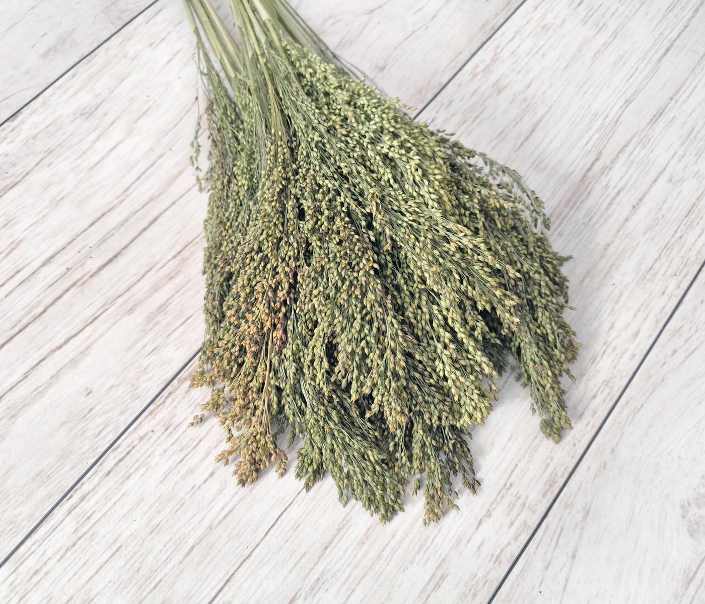 Сухоцвіт африканське просо 10 шт. (2707862234)