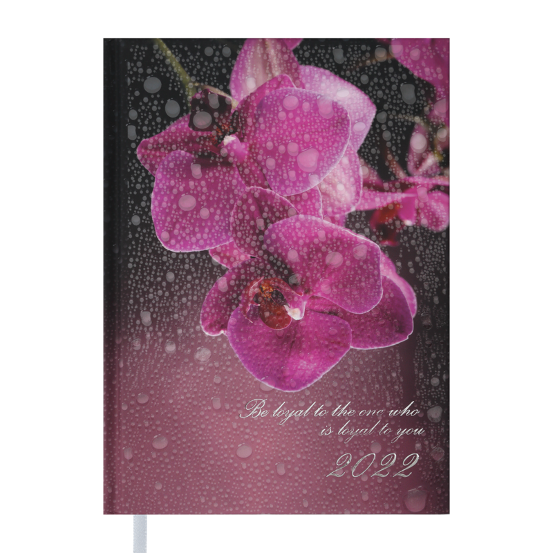 Дневник датированный Buromax Posh A5 336 страниц Бордовый (BM.2118-13)