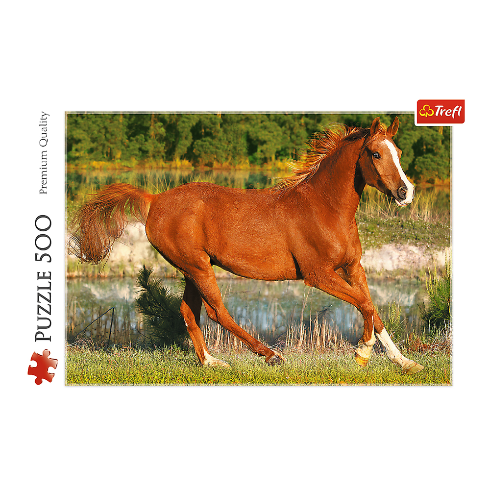 Пазл Trefl Красота галопа 500 элементов