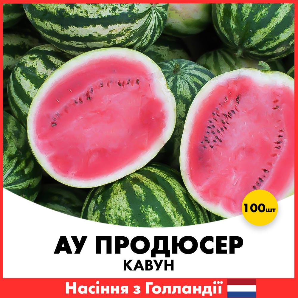 Семена арбуза Hazera АУ Продюсер 100 шт. (jkl1-100)