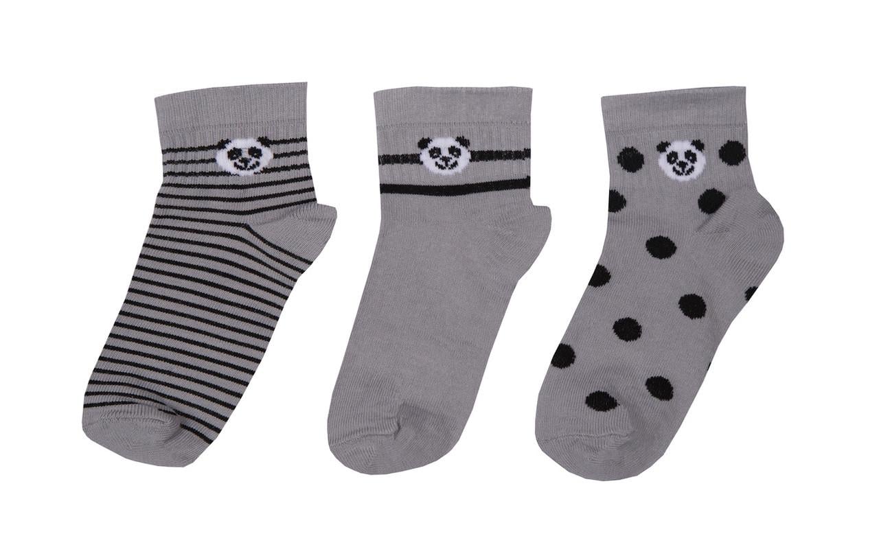 Носки детские хлопковые демисезонные для девочки Gabbi NSD-573 р. 12-14 6 пар (90573) Носки детские хлопковые демисезонные для девочки Gabbi NSD-573 р. 12-14 6 пар (90573)