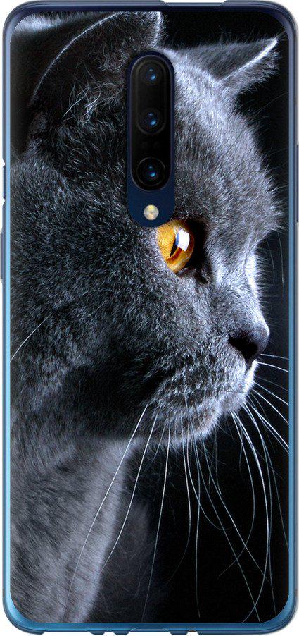Чехол на OnePlus 7 Pro Красивый кот (3038t-1696-42517)