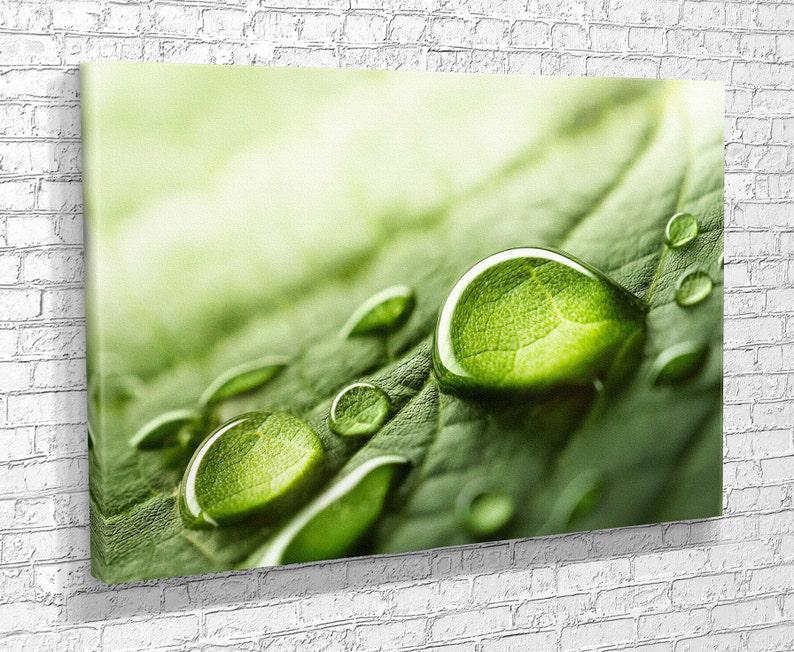 Картина для интерьера Капли росы на листке 80x54 см (780)