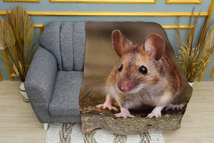 Плед Little mouse плюш однослойный 135х150 см (114033)