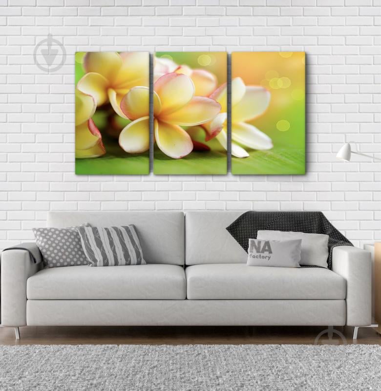 Модульна картина Poster-land Квіти Аrt-96_3А