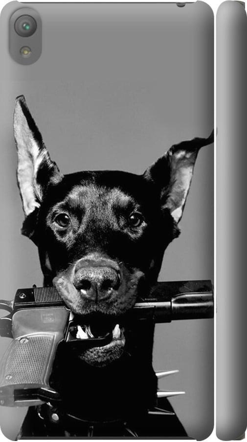 Чехол на Sony Xperia E5 F3311 Доберман (2745m-458-42517) Чехол на Sony Xperia E5 F3311 Доберман (2745m-458-42517)