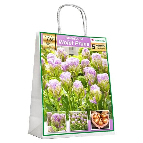 Тюльпан Florium Violet Pranaa (15836)