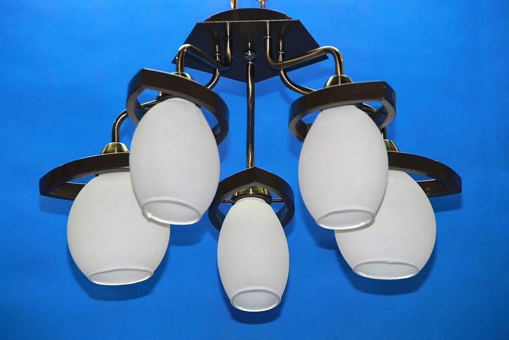 Люстра с плафонами Ray L28003B/5 (IR006283)