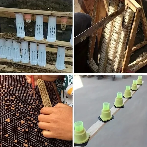 Изолятор-бигуди для выведения пчелиных маток 30 шт C01618 - фото 3