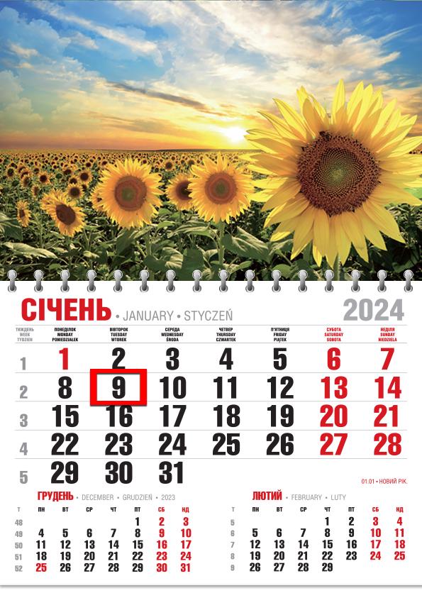Календар на 2024 рік Офісний Економ Соняхи Календар на 2024 рік Офісний Економ Соняхи