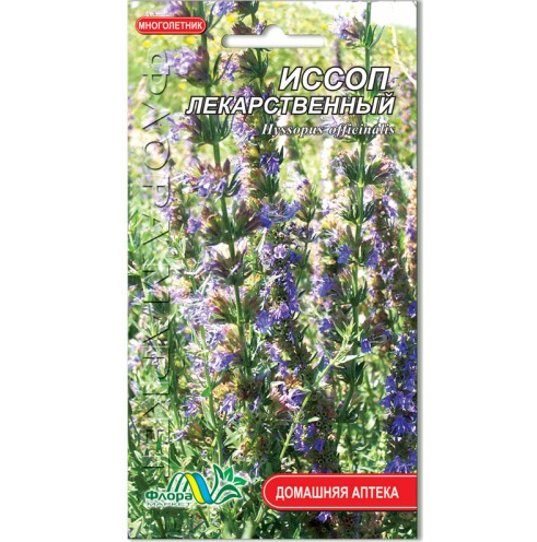 Насіння Гісоп 0,1 г лікарський багаторічник (26488)