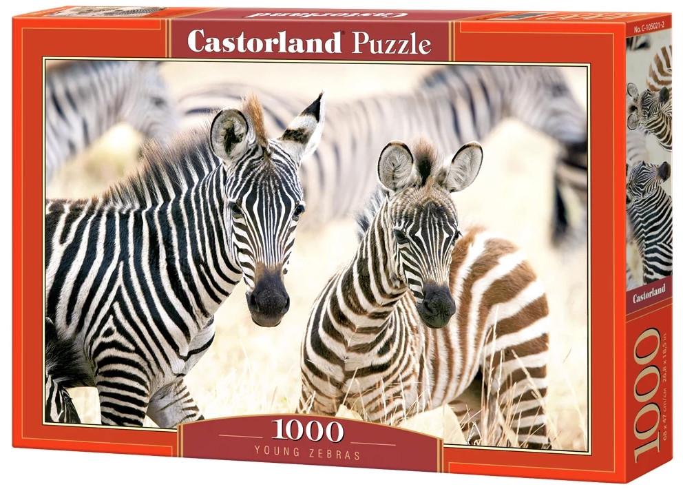 Пазл Castorland Молодые зебры 1000 дет.