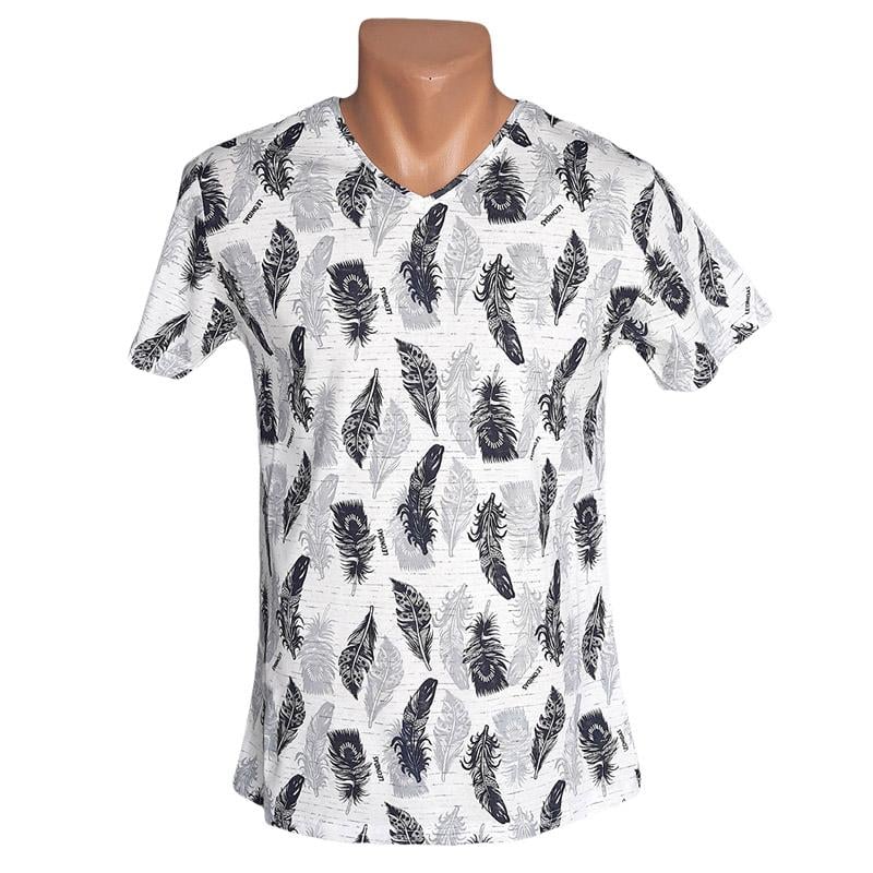 Футболка мужская Leonidas S Разноцветный (5925)