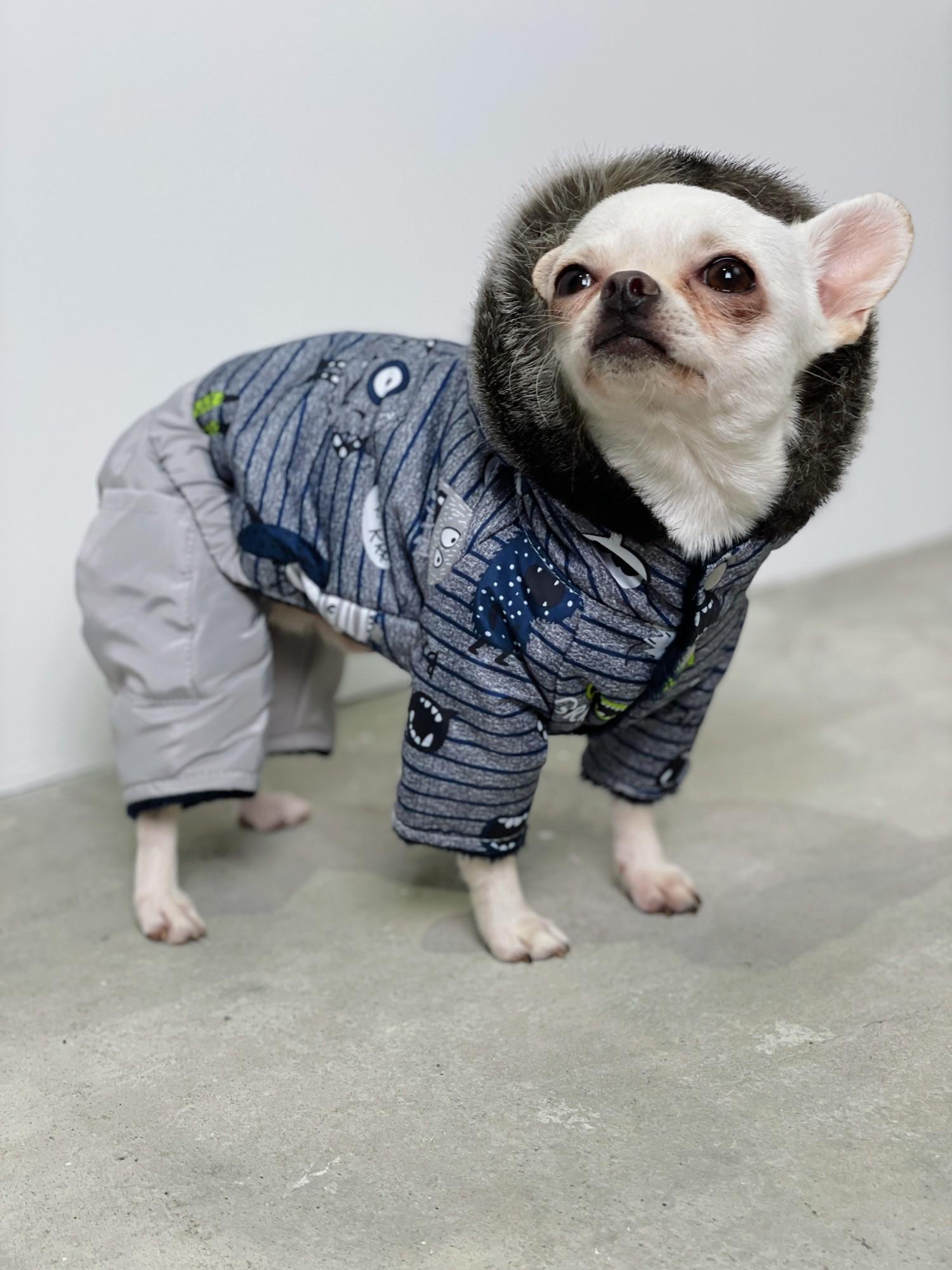 Комбинезон для собак зимний Монстрики AM-26 р. 7 (70579834)