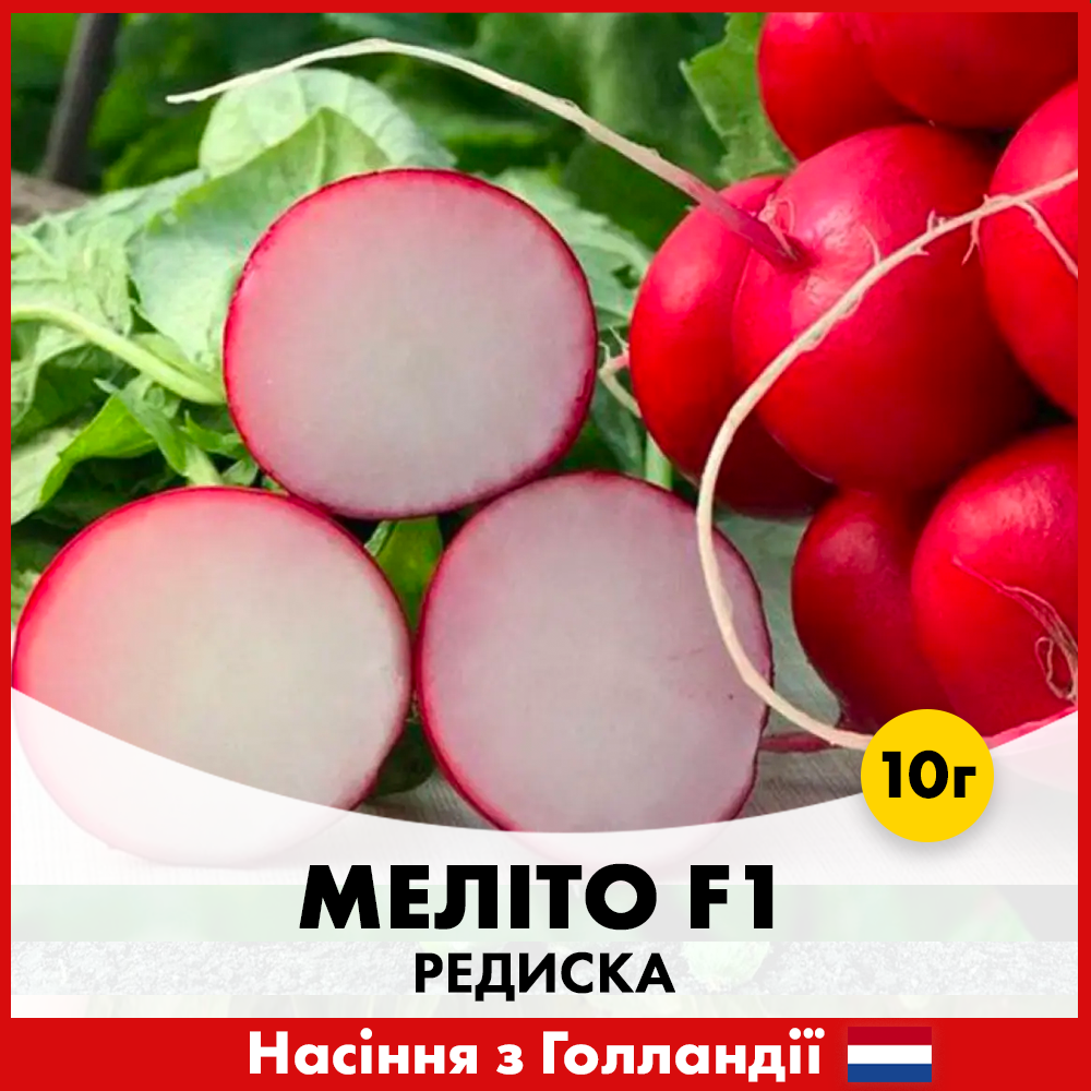 Семена редиса Hazera Мелито F1 10 г (00198)