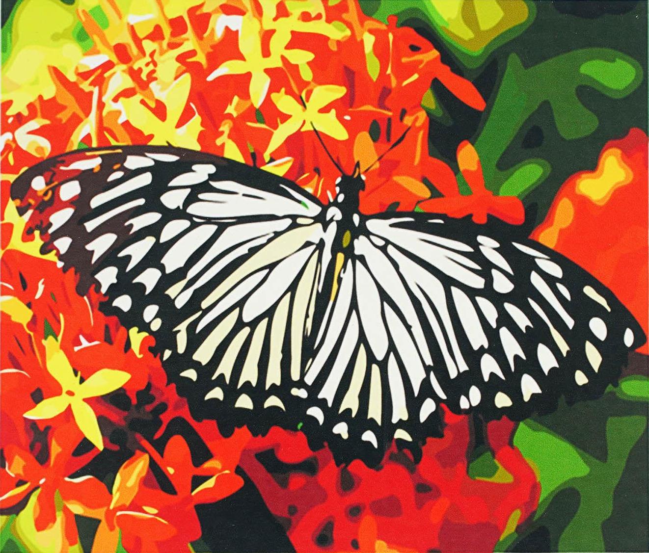 Алмазна мозаїка-картина за номерами TK Group B 78669/30 Метелик в коробці 40x50 см (24711049)