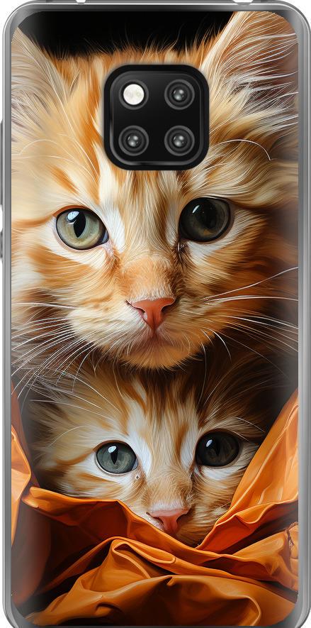 Чехол на Huawei Mate 20 Pro Котики 2 (5664t-1567-42517)