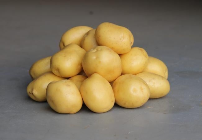 Картофель Констанс 5 кг (38281878)