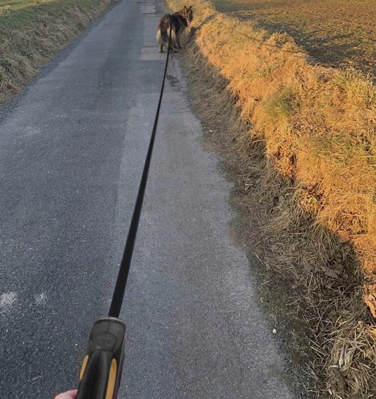 Поводок для собаки автоматический Alpimax лента 8 м с блокадой (2377157030) - фото 5