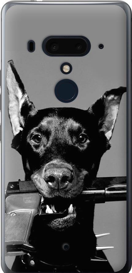 Чехол на HTC U12 Plus Доберман (2745u-1712-42517) Чехол на HTC U12 Plus Доберман (2745u-1712-42517)