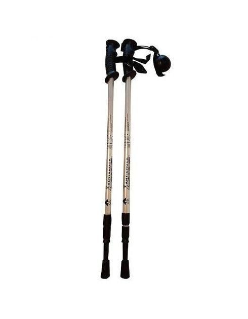 Трекінгові палиці Antishock пара Silver