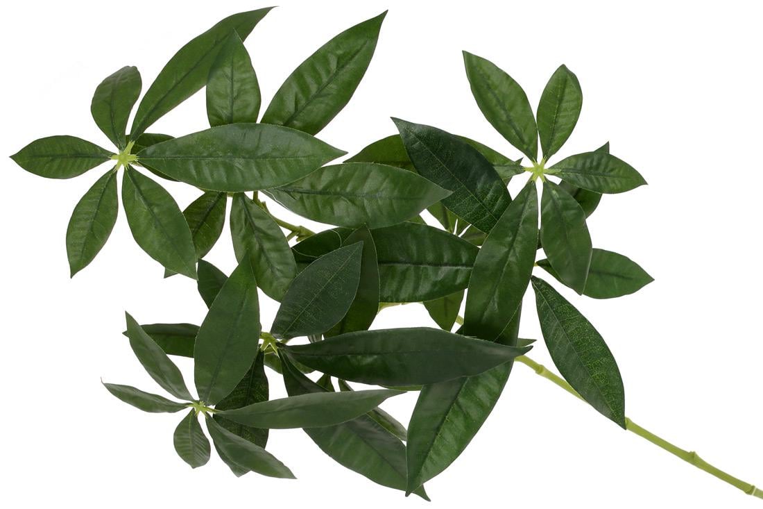 Декоративна гілка BonaDi Пахіри 74 см (709-522)