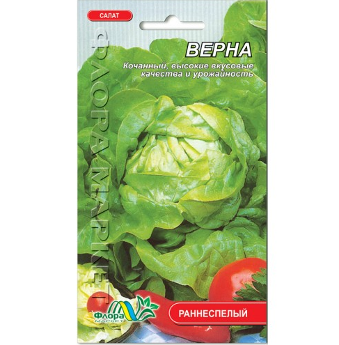 Семена Верна кочанный раннеспелый 1 г (26708)
