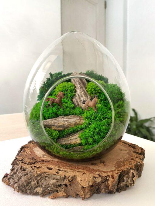 Мосаріум з мохом та камінням у формі скляного яйця 20х13 см Мосаріум з мохом та камінням у формі скляного яйця 20х13 см