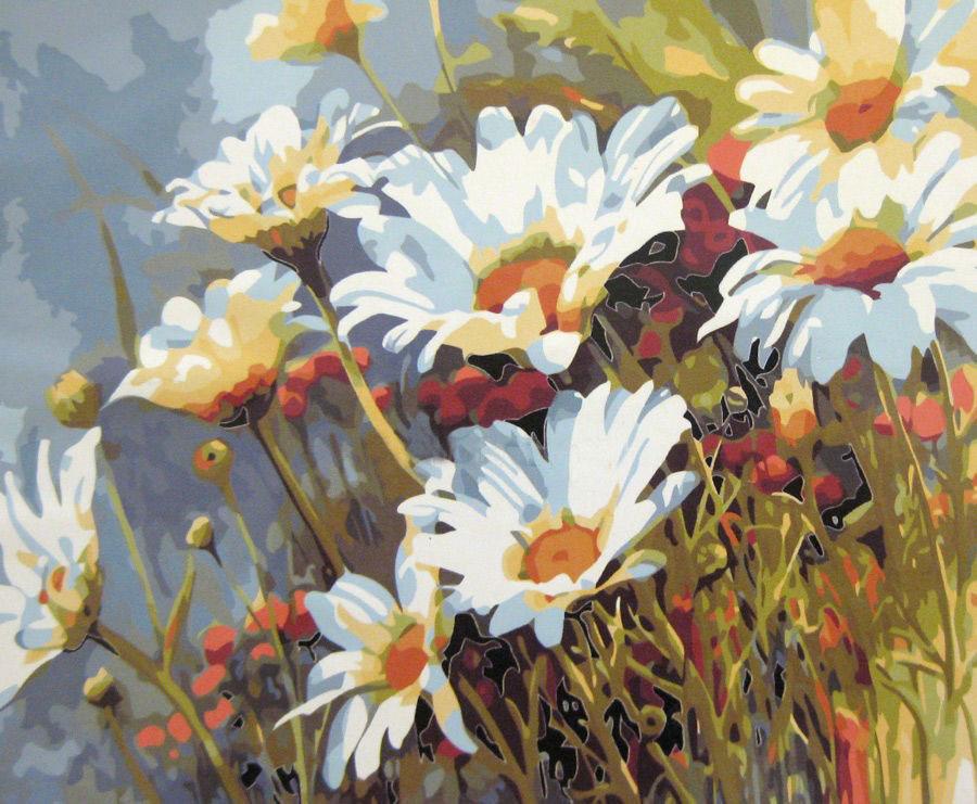 Картина по номерам Mariposa "Ромашковое поле" 40x50 см (skl-Q1439)