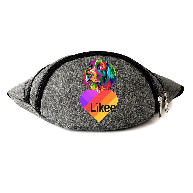 Поясные сумки-бананка Likee OB-L-05 Серый (1267577029)