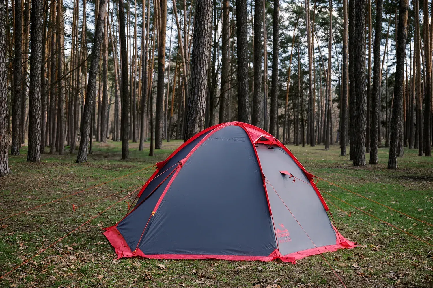 Намет туристичний Tramp Rock 3 v2 Сірий (TRT-028) - фото 7 Намет туристичний Tramp Rock 3 v2 Сірий (TRT-028) - фото 7