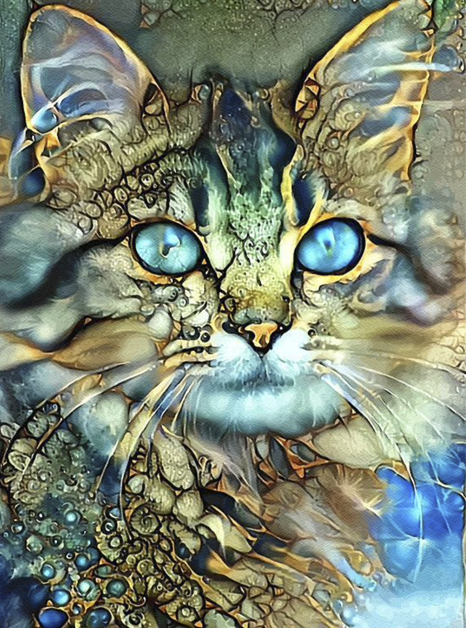 Картина по номерам Кошечка 40x50 см (РНК-402)