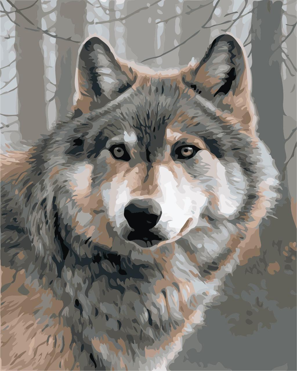Картина по номерам Art Story Одинокий волк 40х50 см (AS0879)