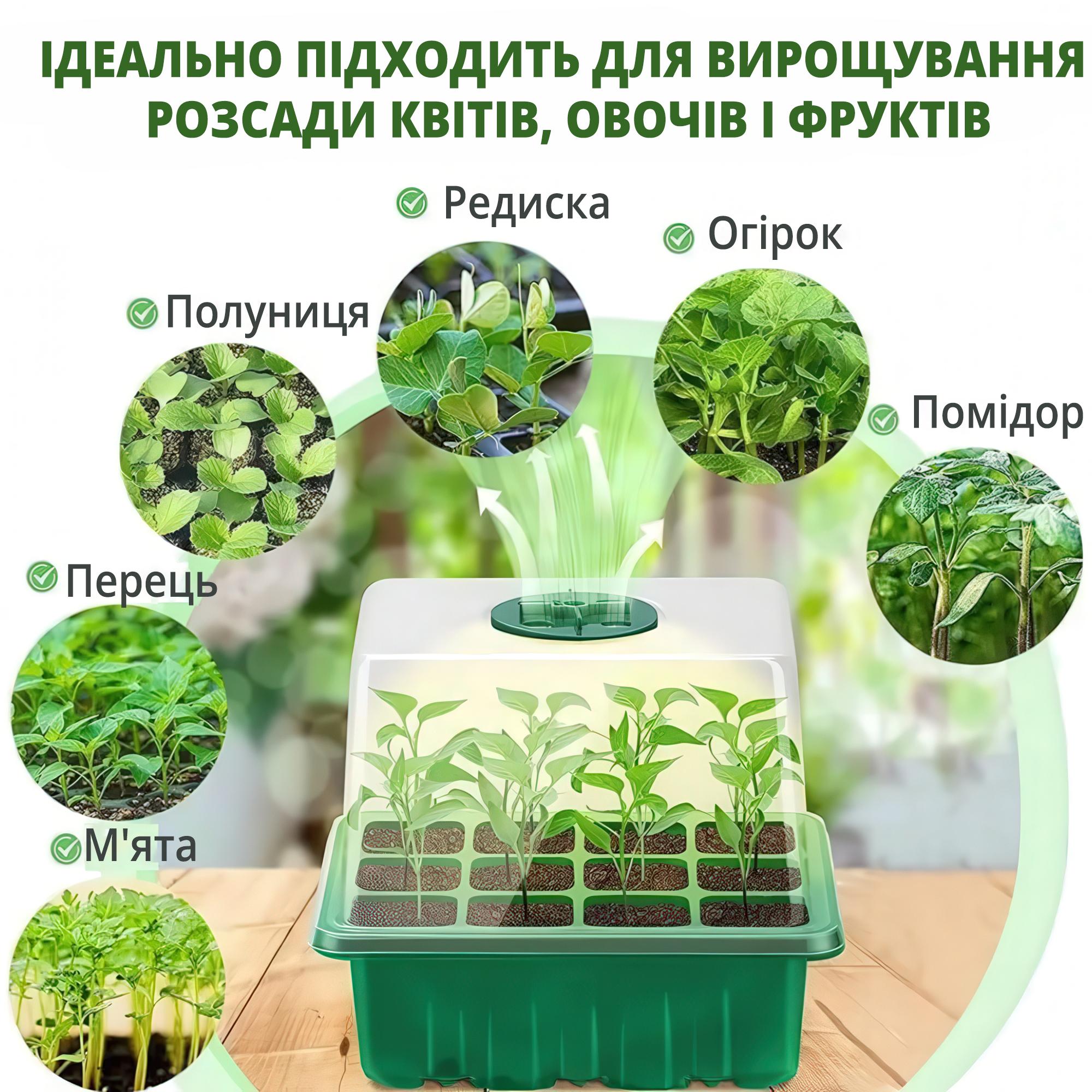 Міні-теплиця для розсади з регульованою вентиляцією 12 осередків Зелений - фото 3 Міні-теплиця для розсади з регульованою вентиляцією 12 осередків Зелений - фото 3