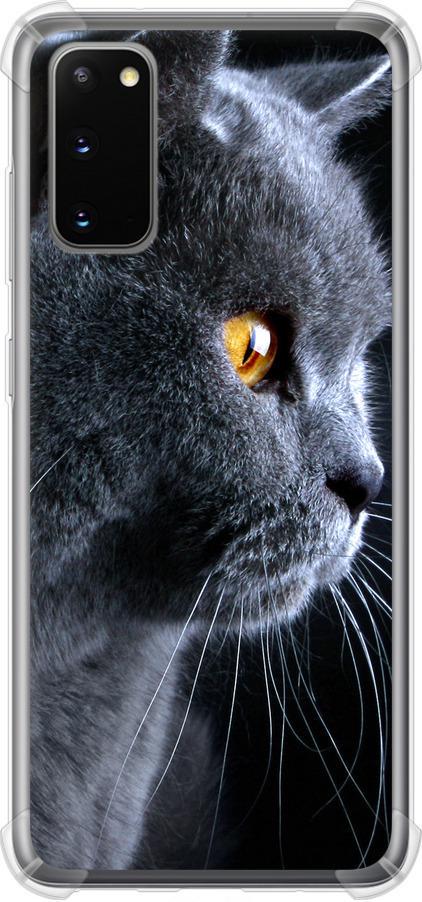 Чехол на Samsung Galaxy S20 Красивый кот (3038sp-1824-42517)