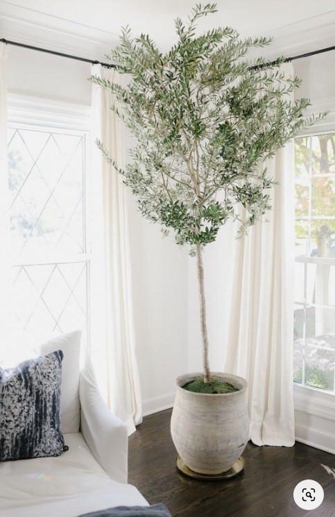 Вазон бетонний вуличний Терамо для саду/будинку/тераси 440x300 мм 18 кг 18 л (20651353) - фото 2 Вазон бетонний вуличний Терамо для саду/будинку/тераси 440x300 мм 18 кг 18 л (20651353) - фото 2